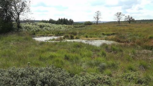 Eifel.Land.Leute. – "Eifelnatur: Kostbarkeiten einer einmaligen Landschaft" – Teil 3