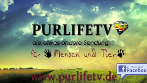 PURLIFETV: Gnadenhof "Die Arche e.V." in Würselen