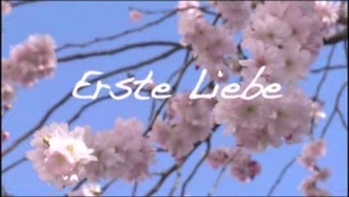 Erste Liebe - Episode 3