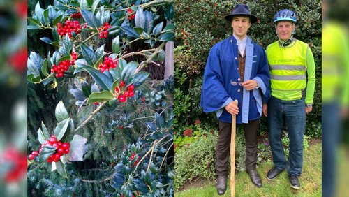 Nikolaus Fröhlich - Baum des Jahres 2021