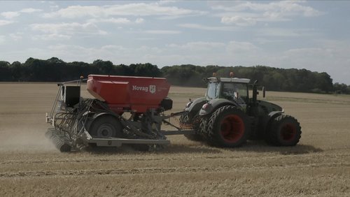 Zwischenfrüchte und Direktsaat in der regenerativen Landwirtschaft