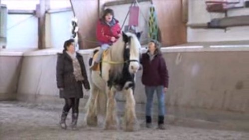 PURLIFETV: Reittherapie in der Reitschule Rattenhaus