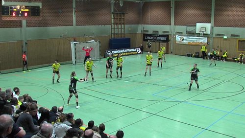 Sport-Live: Borussia Dortmund gegen TV Nellingen - Handball-Bundesliga