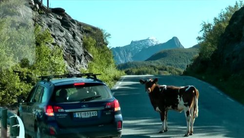 Eine Norwegen-Kreuzfahrt