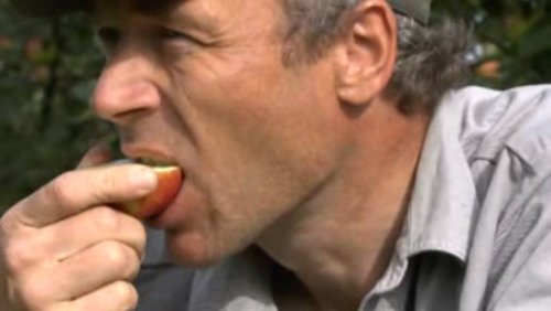 An apple a day - Dokumentation über einen Apfelbauern