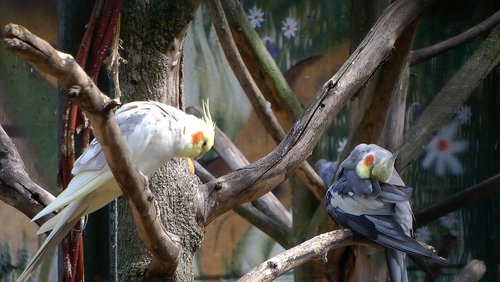 Der Bunte Garten in Mönchengladbach