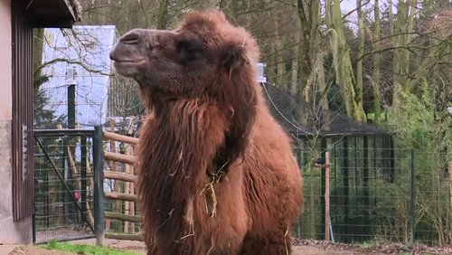 NRW-Zoo-Check: Zoo Dortmund