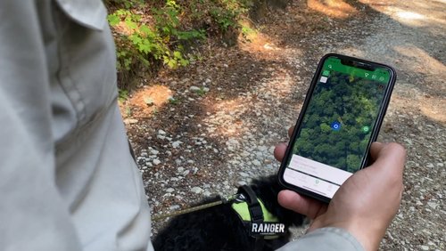 Die Ranger Story: Geocaching im Wald
