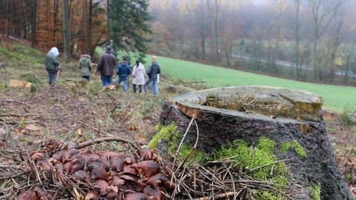 Die Ranger Story: Start in den Schulwald (Teil 2)