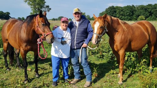 Pferde, Land und Leute: Horse-Talk mit Pferdetrainer Tom Büchel - Sommerhitze