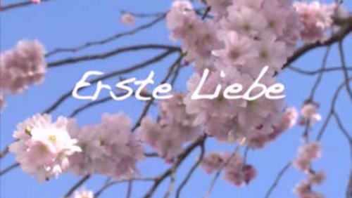 Erste Liebe - Episode 2