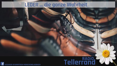 Tellerrand: Leder - Herstellung, Gefahren, Alternativen