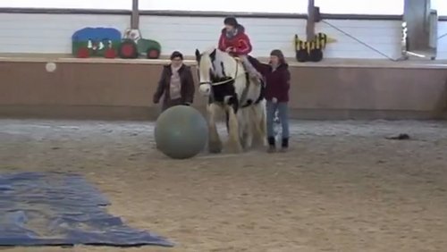 PURLIFETV: Reittherapie in Belgien