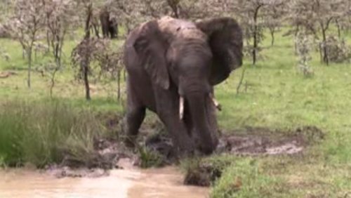 Kenia - immer wieder ein Erlebnis - Teil 2