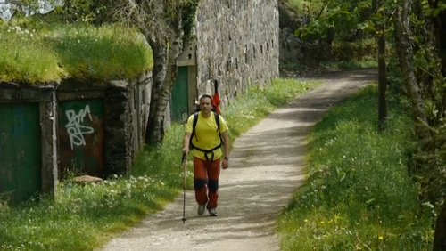 Mein Camino Francés