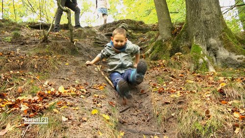 "walk in" - Waldkinder - Projekt der Drogenberatung Bielefeld