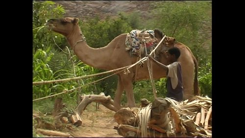 Leben im Aïr – Hochgebirge in der Sahara