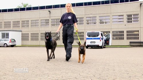 Die Drogenspürhunde der JVA Bielefeld-Brackwede