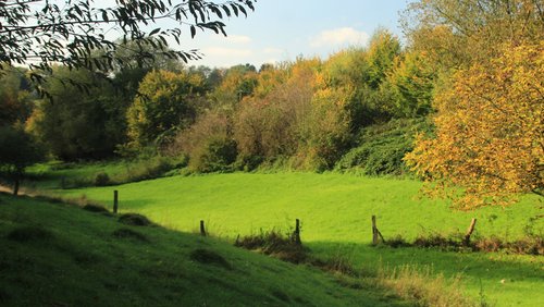 Die SoFis: Natur erleben in den Wäldern von Solingen