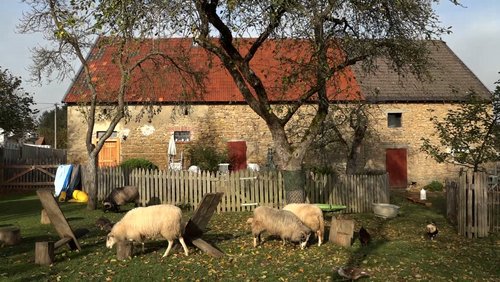 Eifel.Land.Leute. - Nutztierarche Lampertstal