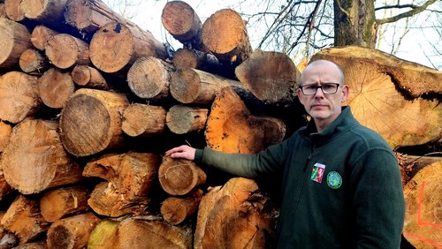 Zukunft Wald - Naturschutzgebiet Gevelsberger Stadtwald