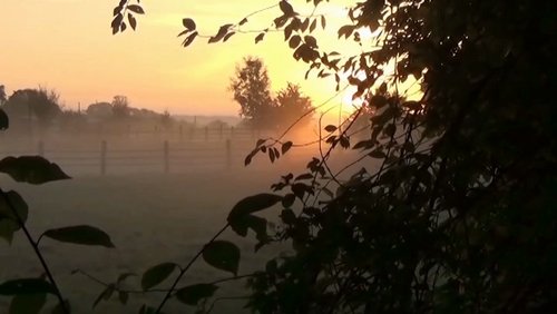 SÄLZER.TV: Ausbau in Salzkotten, Glockenweihe, Oktober-Impressionen