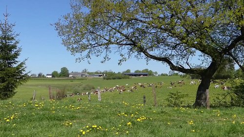 Eifel.Land.Leute. – "Eifelnatur: Kostbarkeiten einer einmaligen Landschaft" – Teil 1