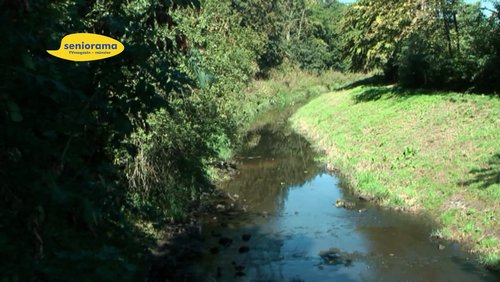 seniorama: Werse - Fluss im Münsterland, Frühjahrsgedicht von Theodor Heimann