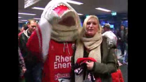 Test !t Cologne: Kölner Haie - Eishockey