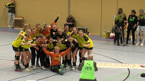 Sport-Live: Borussia Dortmund gegen HSG Bad Wildungen Vipers - Handball-Bundesliga