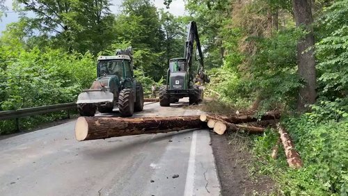 Die Ranger Story: Verkehrssicherung im Wald