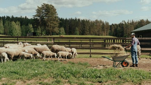 probier's doch mal aus! - Ein Besuch auf dem Bauernhof