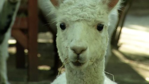 NRW-Zoo-Check: Tierpark Hamm