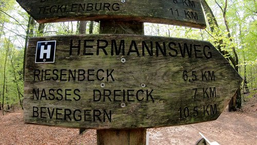 Mark geht wandern: Dörenther Klippen im Teutoburger Wald