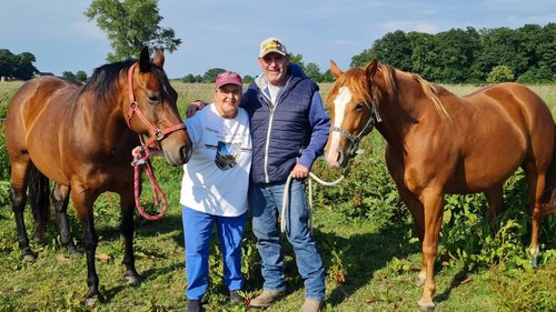 Pferde, Land und Leute: Horse-Talk mit Pferdeflüsterer Tom Büchel