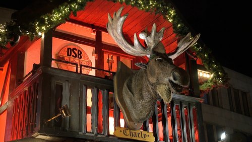 Weihnachtsmärkte in NRW: Internationaler Weihnachtsmarkt Essen 2022