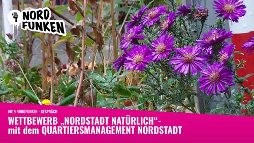 Nordfunken: Wettbewerb "Nordstadt Natürlich" - mit dem Quartiersmanagement Nordstadt