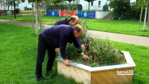 Palette - das Stadtmagazin: Urban Gardening, Neue Musik