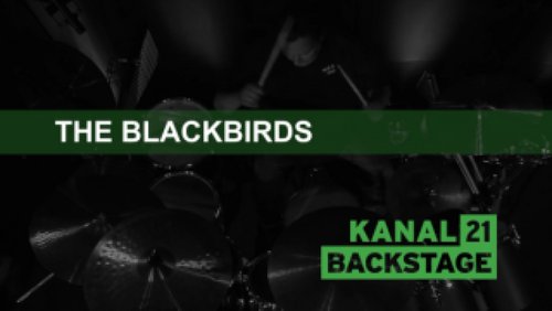 Fernsehkonzert: "The Blackbirds" aus Minden