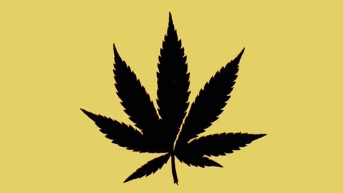 StudioRunde: Cannabis legalisieren?