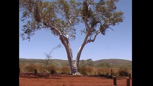 Im Outback von Western Australia