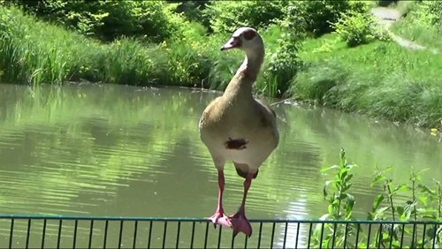 Volksgarten Lütgendortmund – Natur-Impressionen