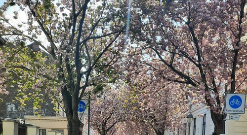 Hier und Jetzt: Klimapolitik in Bonn, UN-Stadt, Schulzeit in Filmen und Serien