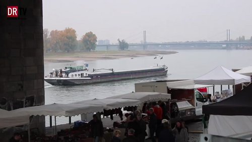 Fischmarkt in Düsseldorf