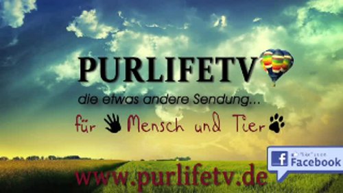 PURLIFETV: Karnevalsclub Öcher Börjerwehr