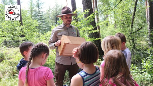 Radio Kurzwelle: Wald und Klima in Gefahr