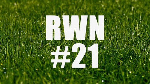 Rot-Weiße Nachspielzeit: Konzeptloser Abstieg & planloser Aufstieg