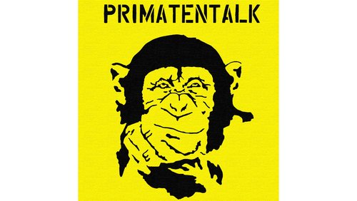 Primatentalk: Die Lunge - Funktion und Aufbau, Covid-19