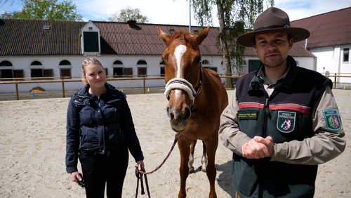 Die Ranger Story: Reiten im Wald ist ein Privileg!