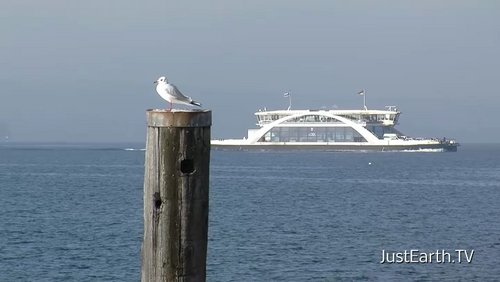 Relax TV: Bodensee, China, Florida